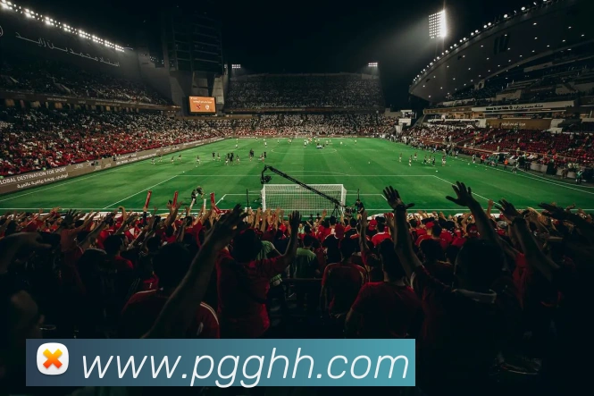 多媒体互动体验